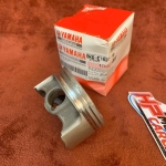 Piston R15/ Exciter 155 BK6-E1631-10