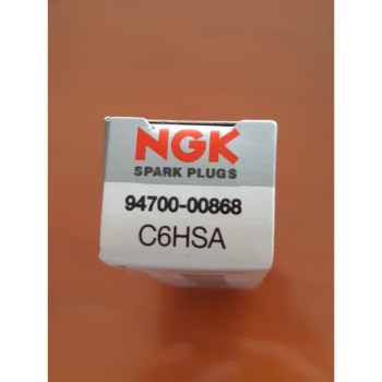 Bugi NGK C6 94700-00868 indo