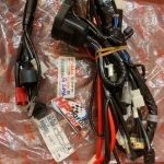 Bộ dây điện chính Exciter 150 2016 2ND-H2590-03