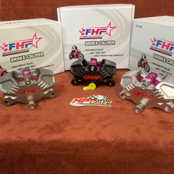 Heo 2 Pis đối xứng FHF ( màu: đèn, bạc,  xám)