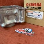 Bộ Lòng Xylanh Exciter 155 B5V-E1311-00 (lòng, trái, bạc, ắc)