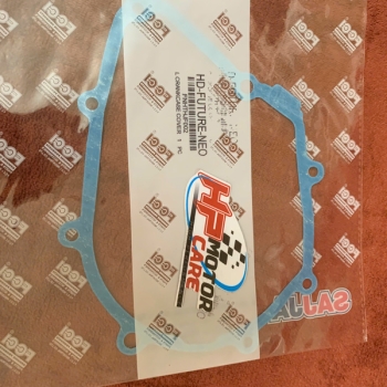 Ron mâm lửa Future 125, Future neo FCCi