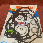 Ron máy Raider - Satria Recto ( Bộ)