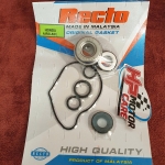 Ron + Phốt bơm nước Air Blade Recto (bộ)