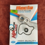 Ron + Phốt bơm nước Vario - Air Blade 125 Recto (bộ)