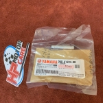 Bộ Piston Exciter 150 2ND-E1631-00