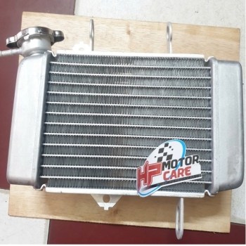 Két nước Exciter 135 5YP-E2460-00